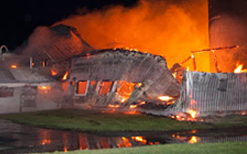 Une chèvrerie flambe à Marieville : 100 bêtes meurent