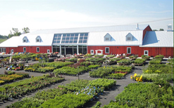 La Ferme Guyon : Entreprise de l’année