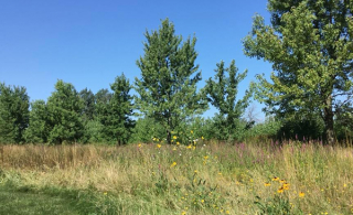 Les citoyens à la défense du parc nature