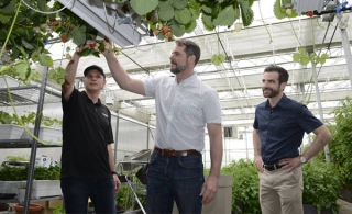 Matthew Dubé et Alexandre Boulerice visitent la Ferme Guyon