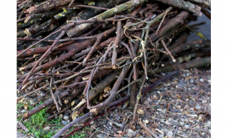 Collecte de branches dans la MRC de Rouville