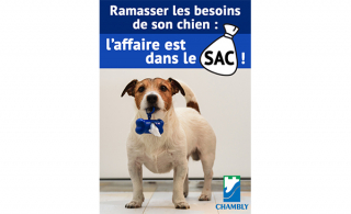 Ramasser les besoins de son chien : l’affaire est dans le sac !