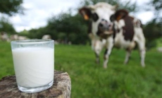 Le Bloc défendra les revenus des producteurs agricoles