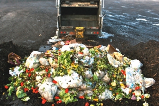 Semaine québécoise de réduction des déchets : halte au gaspillage alimentaire!