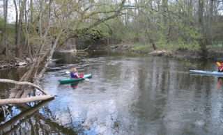 Près de 170 arbres et 3 240 arbustes seront plantés sur les rives du ruisseau Massé